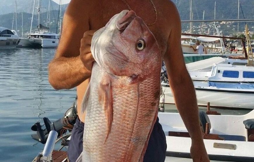 Angeltour Montenegro – Küste