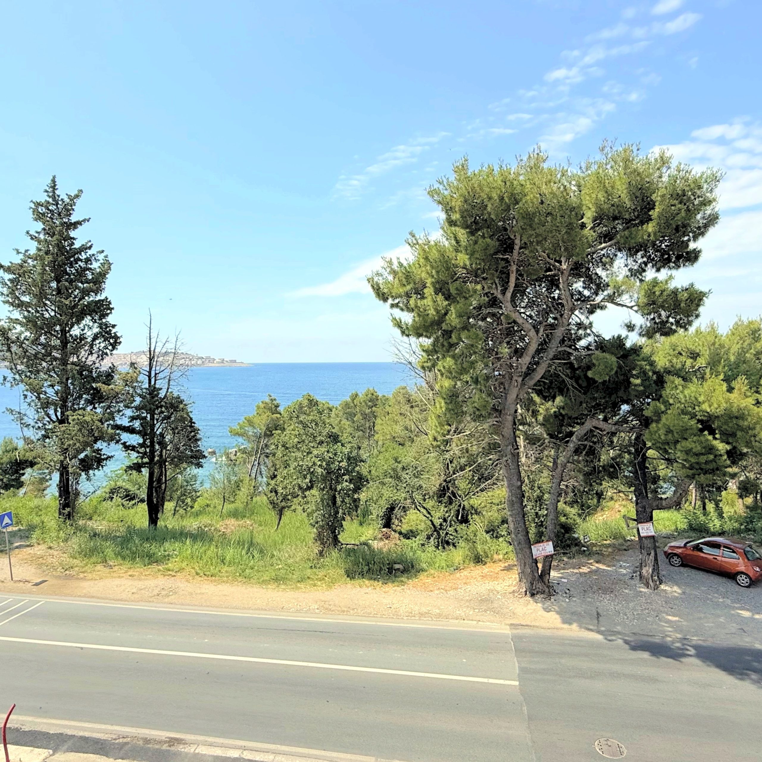 Blick über die Pinien aufs Meer in Šušanj, Bar
