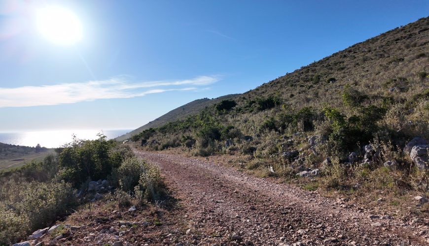 Ausflüge ab Bar: Die schönsten Tagesziele in Montenegro